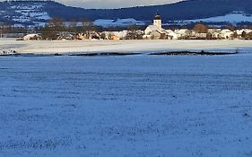 Schoene Helle Ferienwohnung In Waldnaehe